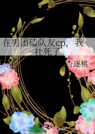 我在男团节目当秀粉 小说