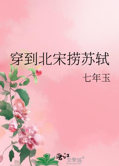 穿越在北宋 小说