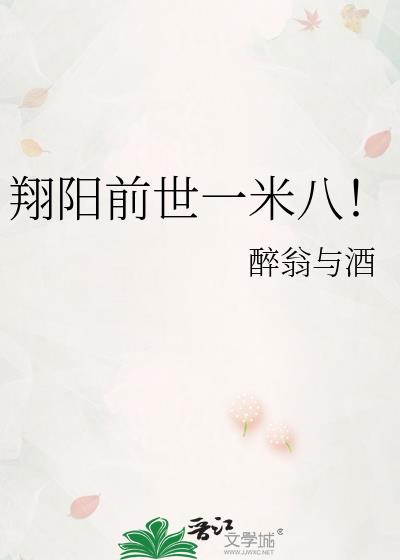 翔阳战绩