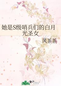 她是S级哨兵们的白月光圣女小说免费阅读笔趣阁